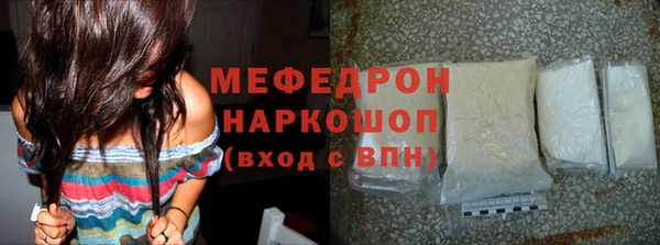 индика Ростов