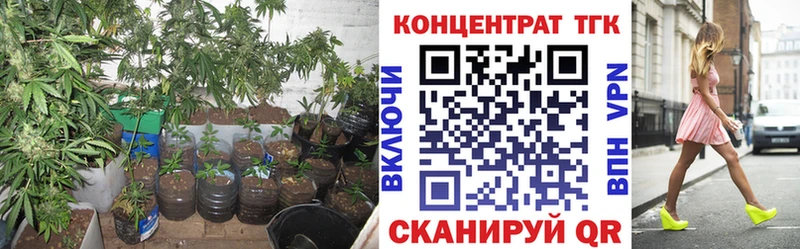 ТГК концентрат  Купить закладки  Качканар 