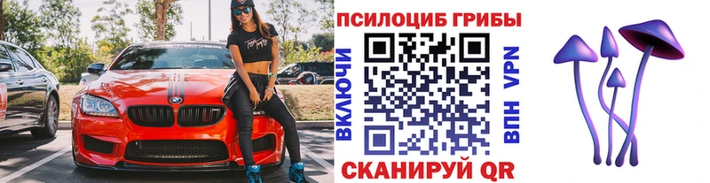 Галлюциногенные грибы Psilocybe Качканар